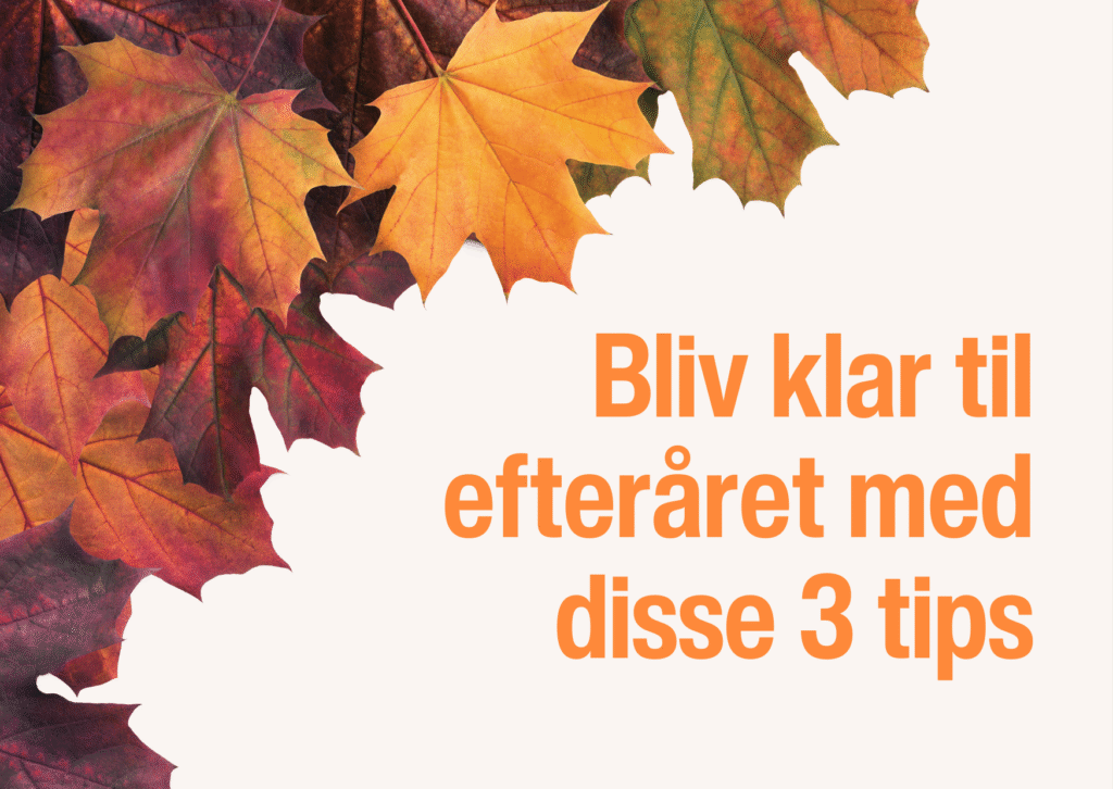 Blog efterårsudsalg